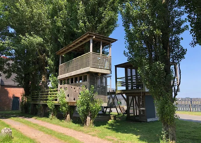 Le Domaine Des Zoiseaux - Lddz Des Flandres